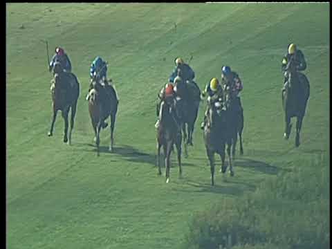 Galoppo 15/07/2017 - 4ª corsa