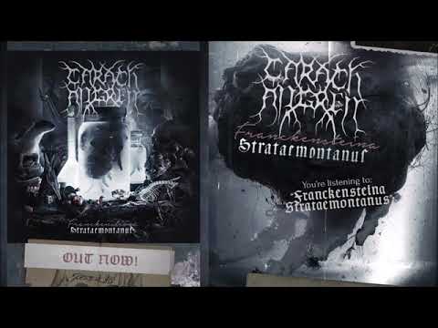 Video thumbnail for Franckensteina Strataemontanus