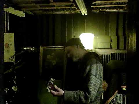 Fine Me by JJ Schultz Grasshopper Kaplan sf Moonflower wLs original songs + music in analog