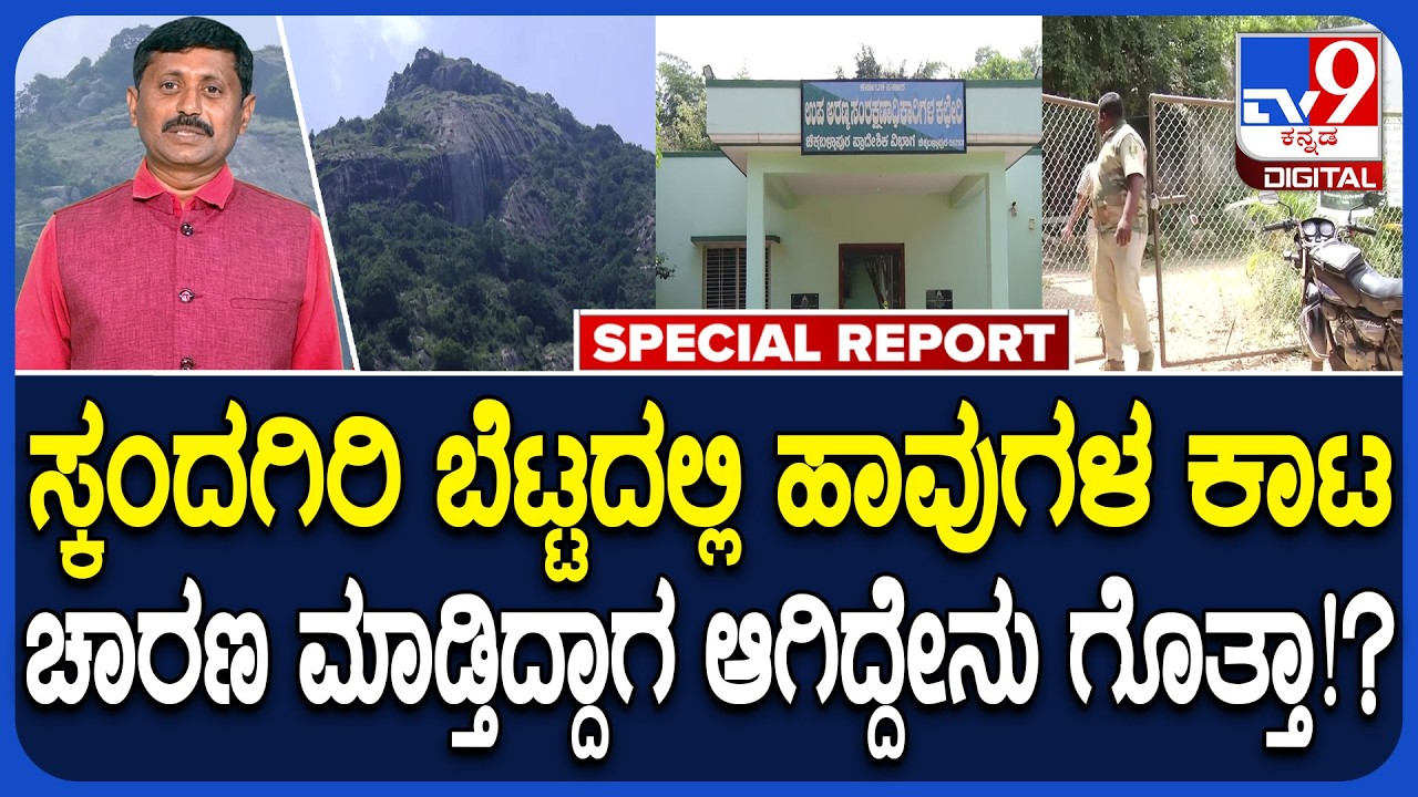 Skandagiri Hills: ಸ್ಕಂದಗಿರಿ ಬೆಟ್ಟದಲ್ಲಿ ಹಾವುಗಳ ಕಾಟ.. ಚಾರಣ ಮಾಡ್ತಿದ್ದಾಗಲೇ ಏನಾಯ್ತು ಗೊತ್ತಾ!?| #TV9D