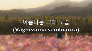 [이태리가곡] 아름다운 그대 모습(Vaghissima sembianza)