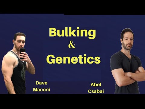 Fitness Drama, Genetics, and Aggressive vs Conservative Bulking with Abel Csabai