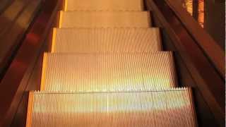 preview picture of video 'OTIS Escalators-Mohegan Sun (Shops Casino Of The Earth Side)'