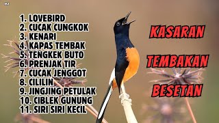 Download lagu 🔴 GACOR ‼️ MASTERAN MURAI BATU JEDA SEPERTI BURUNG HIDUP mp3