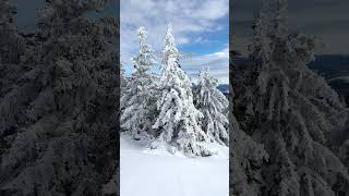 How my camera roll looks like after a winter hike #winterhike #hike #hiking adventures