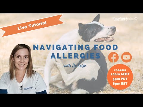 Food Allergies In Dogs & Cats | How To Perform An Elimination Diet | Your Vet Online