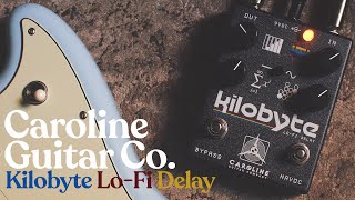 Video thumbnail for Caroline Kilobyte Lo-Fi Delay - Quick Clip by Ambient Endeavors