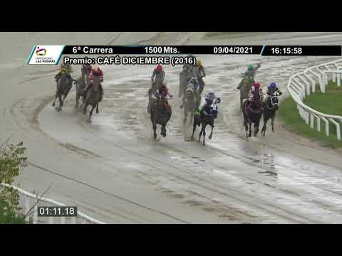 210409 c06 - RE CASISEGURO - HIPODROMO LAS PIEDRAS