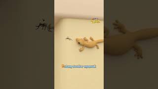 Download lagu Cicak di Dinding | Animasi Lagu Anak Indonesia #laguanak #kidssongs #nurseryrhymes mp3 Download lagu Cicak di Dinding | Animasi Lagu Anak Indonesia #laguanak #kidssongs #nurseryrhymes mp3