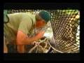 My Daddy The Crocodile Hunter Part 5