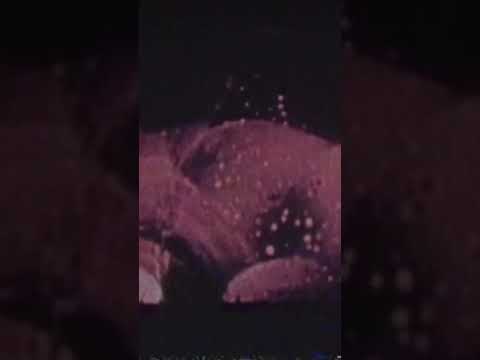 Atili - Subterranean Exodus (ft. Pupajim & Biga*Ranx)