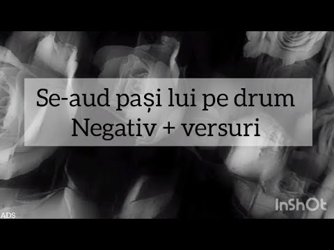 Negativ + Versuri| Se-aud pași lui pe drum