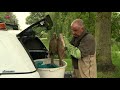 Waterschap zet pompen in in Lelystad om vissen te redden.
