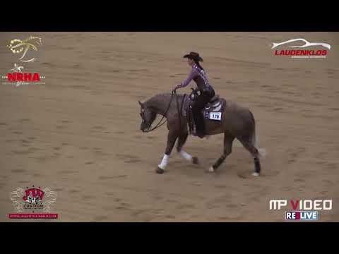 Shiners Voodoo - NRHA EU DERBY 2018 OPEN FINAL