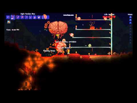 Terraria Boss Battle- Eye of Cthulu and Brain of Cthulu vs Brian.