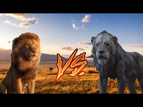 Mufasa vs scar