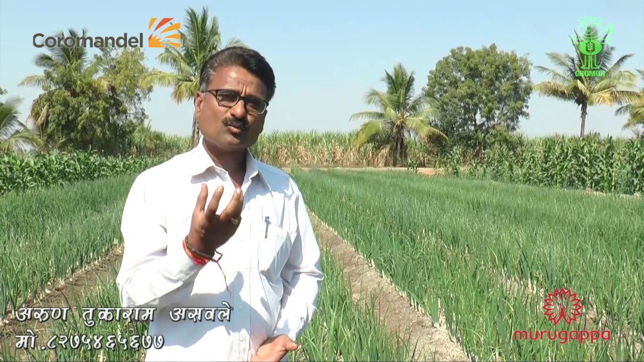 Watch video Gromor Ultra 24.24.0.8S Demo on Onion Now Gromor Ultra 24.24.0.8S Demo on Onion