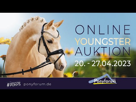 Disney AT Stute 2019 v. D-Power AT / Dumbledore AT