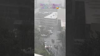 10/1 突然の大雨#hawaii #waikiki #shorts @Machami