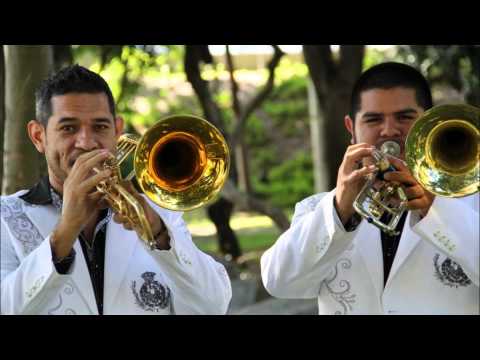 Banda La Nueva Clave De Oro - El Teo