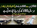 Biggest Dairy Farm of Pakpattan 600 cows 3 shed