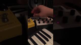 Mb33 + mxr distortion+