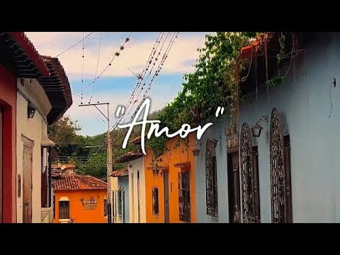 AMOR - Paola Houghton (visualizer)