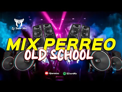 MIX PERREO SALVAJE 🔥 (OLD SCHOOL Mix REGGAETON) | DjTauroMixEc