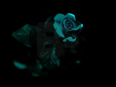 " Pagājis gads" feat. KL