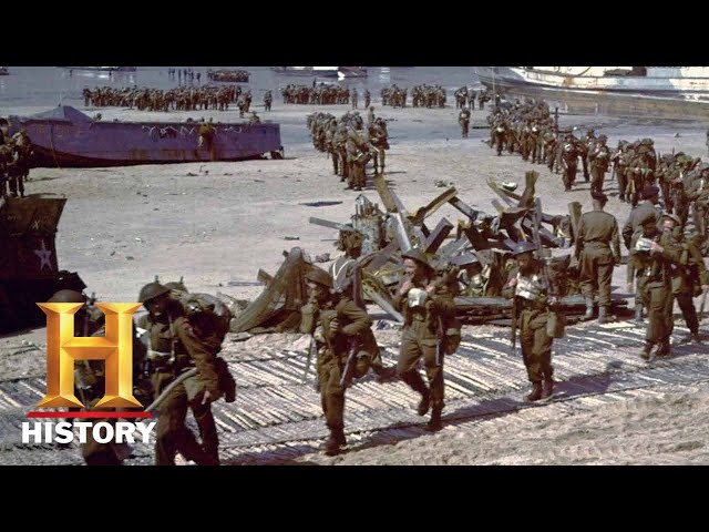 FIGHT TO THE FINISH | Summary of WWII