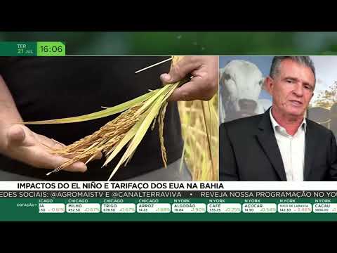 Impactos do El Niño e tarifaço dos EUA na Bahia
