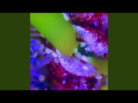 Ignorance Ain't Bliss