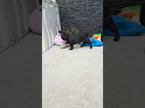 Video 6