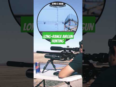 FX Impact M3 700mm | 40gr 22 cal slug at 1100fps | Unreal Airgun Accuracy #fxairguns