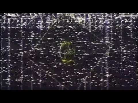 (Part) Duzz - matrix