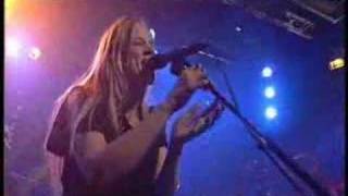 Ilse de Lange - No Reason to Be Shy