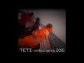 TETI ALLA VELEZIANA 2018