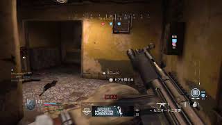 ［実況]COD MW　β版