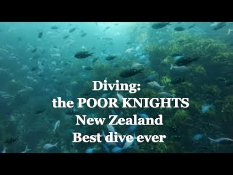 Scuba dive at the Poor Knights marine park , New Zealand with Tutukaka