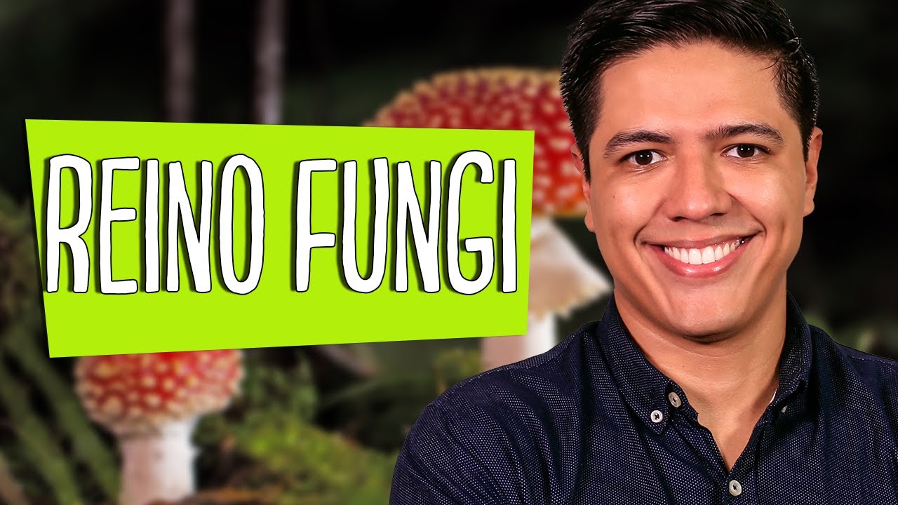 REINO FUNGI - ESTRUTURA E DIVERSIDADE DOS FUNGOS - PARTE 01 - Prof. Kennedy Ramos