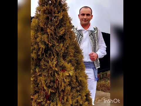 Iulian Buicu Band ❌ Colaj Banat ❌ Joc și voie bună💣 100% LIVE