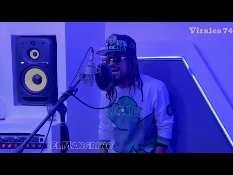 Virales 74 - El Mangrino (En Vivo)