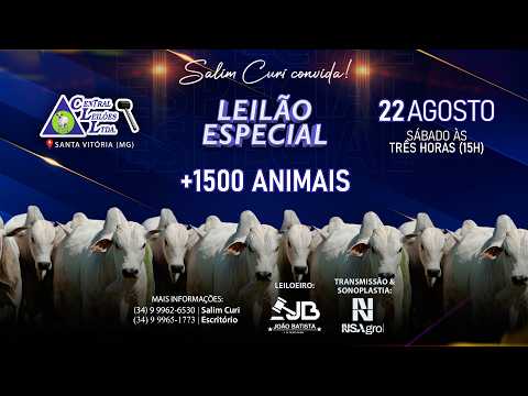 🌾  Leilão Especial  - Central Leilões - Santa Vitória (MG) - 22 de AGOSTO