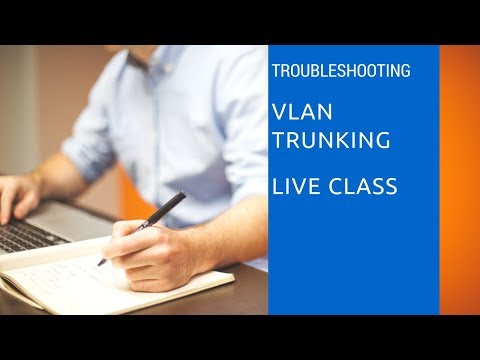 VLAN and Trunk Troubleshooting Live Session excerpt