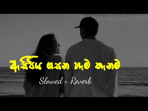 Asipiya gasana hema thanama | ඇසිපිය ගසන හැම තැනම ( Slowed + Reverb ) Full Song