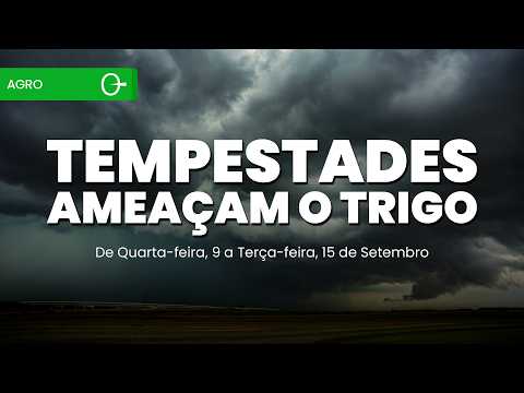 Temporais e risco de granizo ameaçam o Sul do Brasil