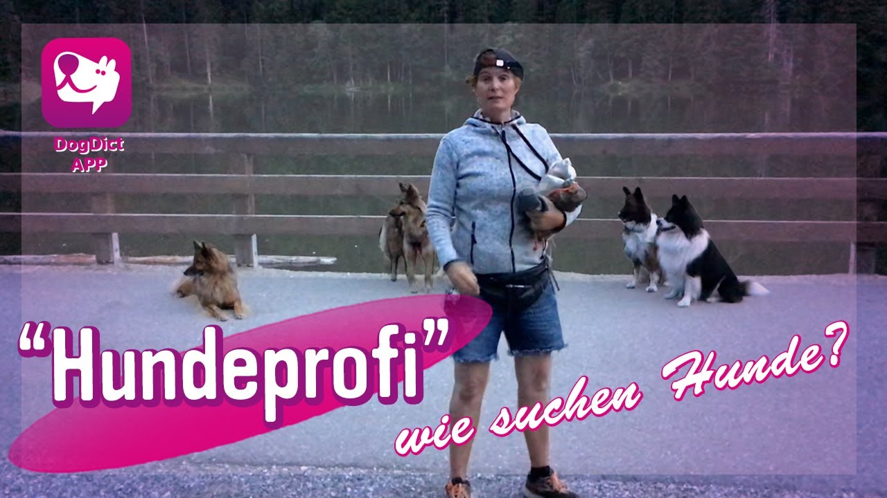 Folge 27: Wie suchen Hunde?