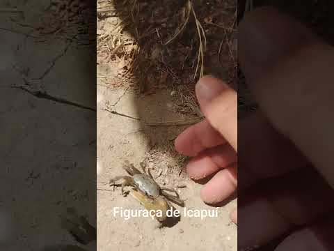 encontro de povos locais em Icapuí ceará Brasil #sertao #turismo #praiasdonordeste