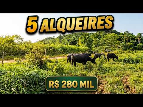 SÍTIO 5 ALQUEIRES EM SETE BARRAS-SP | R$ 280 MIL