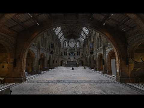 Minecraft wishes they had this - New Voxel engine reveal